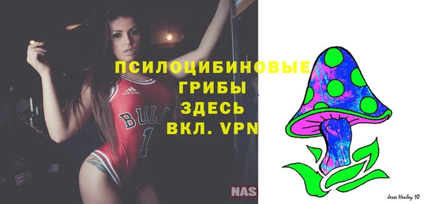 a pvp Няндома
