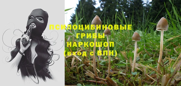 кристаллы Новозыбков