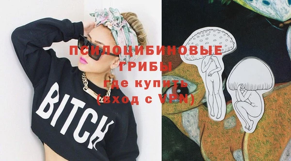 МДПВ Новодвинск