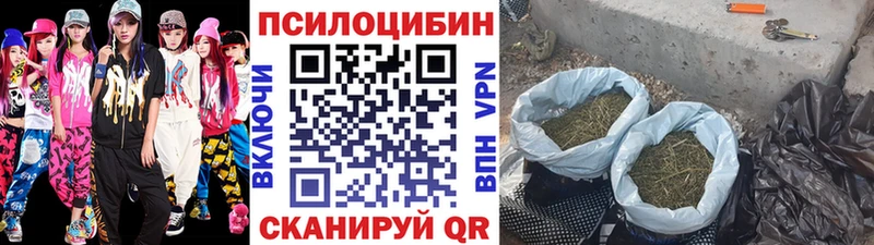 Псилоцибиновые грибы Psilocybine cubensis Морозовск