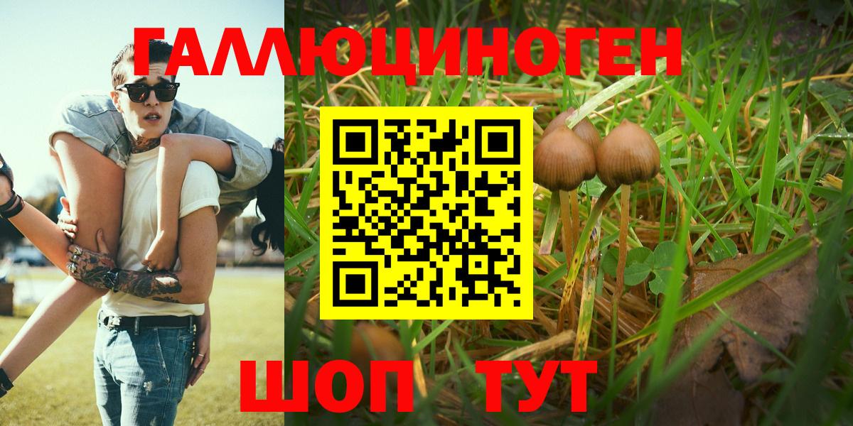 закладка  Морозовск  Галлюциногенные грибы MAGIC MUSHROOMS 