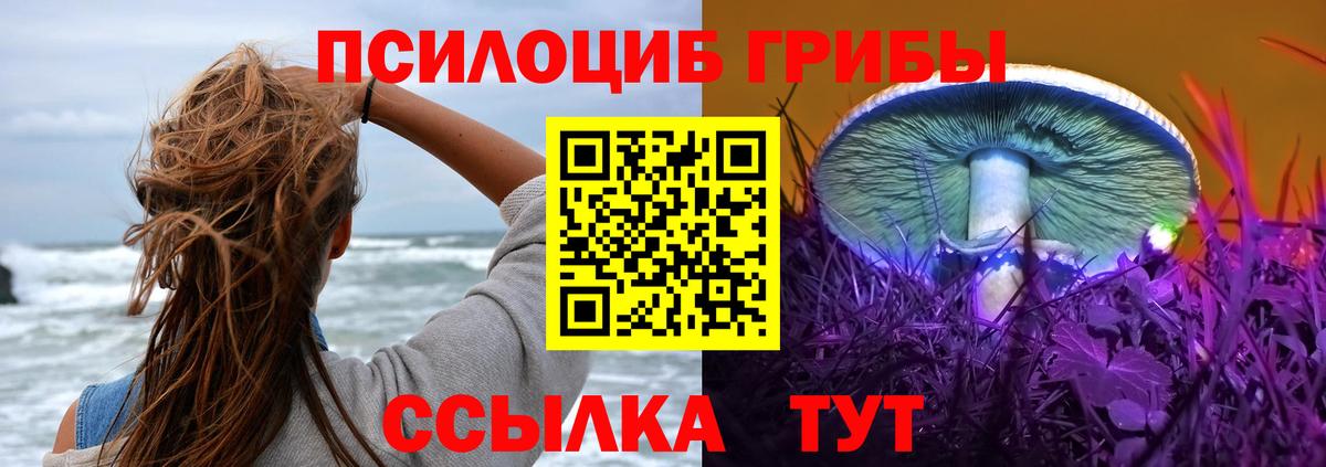 ГАШ Морозовск